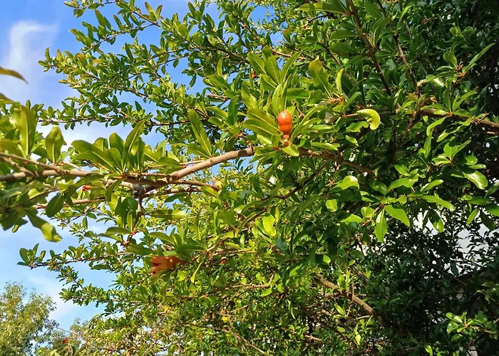 Guest Rusalka Апартаменты *